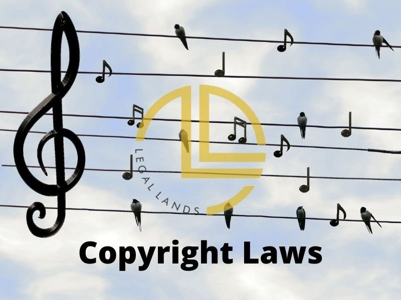 What Is Copyright Registration Process Infringement Remedies IPR