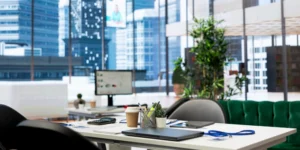 India Trade Strategy